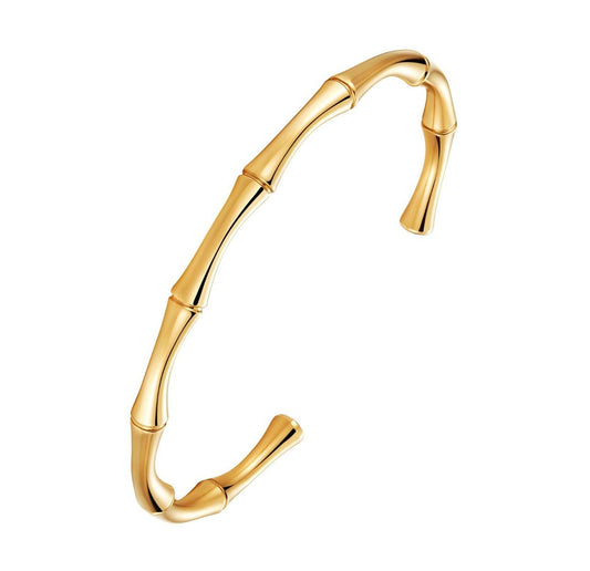 Elegant bangle