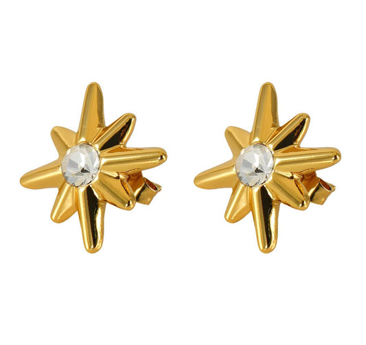 Flower diamond earrings
