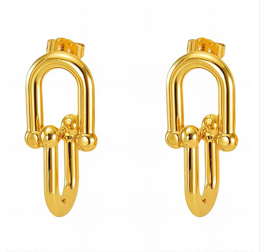 Elegant earrings